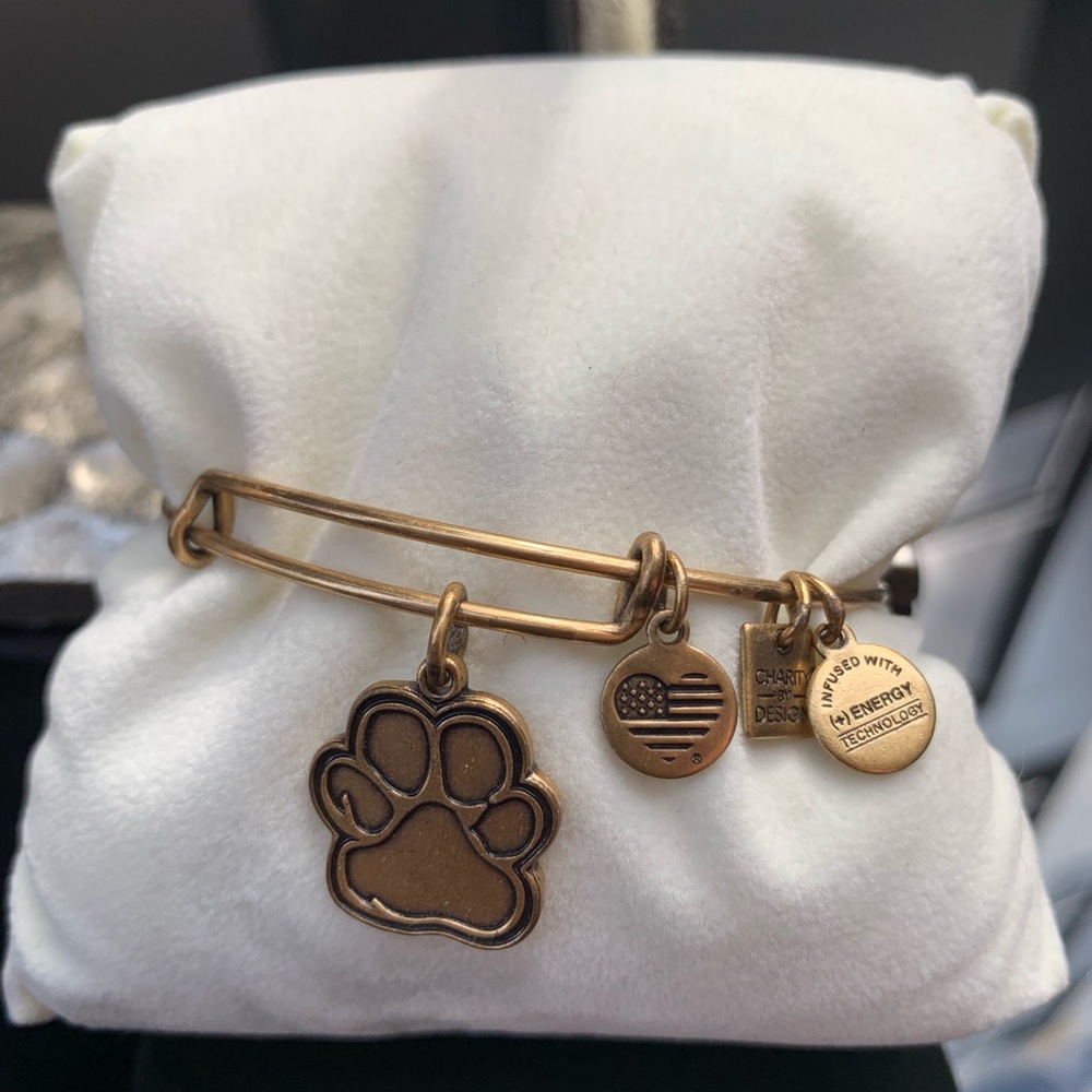 Alex & Ani Gold Bangle Bundle - Picture 6 of 8